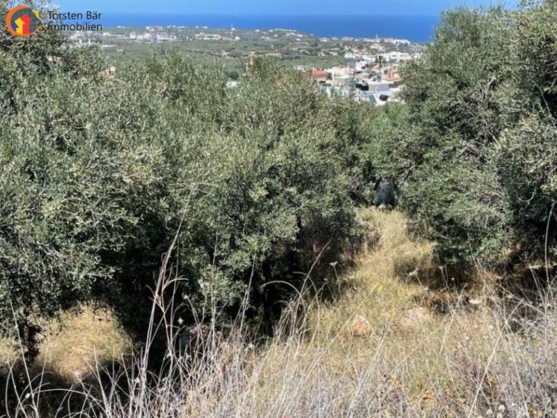 Old Hersonissos Kreta, Hersonissos: Grundstück in privilegierter Lage, ruhig mit freien Blick auf das Meer und im Hindergrund auf die Berge.